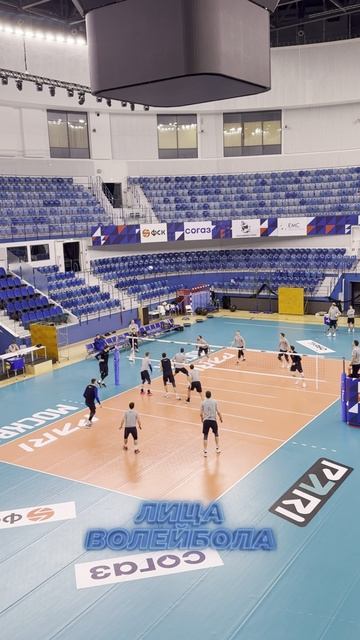 МОСКОВСКОЕ ДИНАМО ГОТОВИТСЯ К ИГРЕ С АСК #shorts #лицаволейбола #волейбол #volleyball #rusvolley #tv