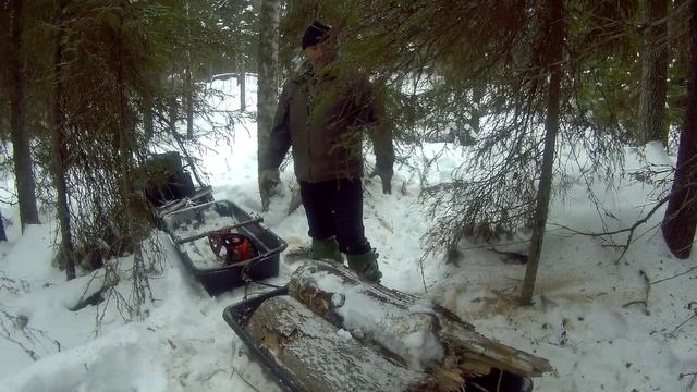 заготовка дров18г