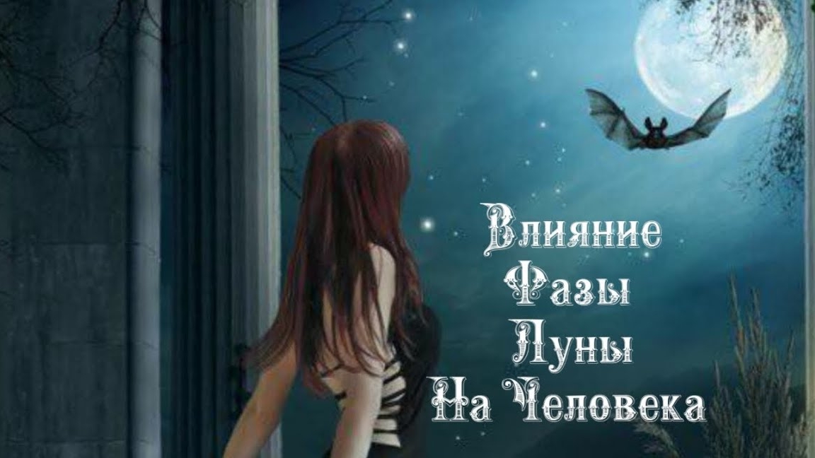 Влияние Фазы Луны на человека 1️⃣1️⃣ Февраля 2️⃣0️⃣2️⃣5️⃣ 🌒🌓🌔🌕🌖🌗🌘🌙🌛🌜🌝
