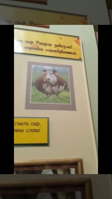 кастрама