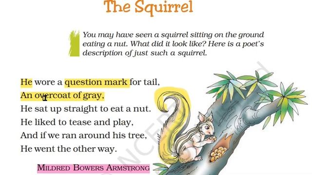 THE SQUIRREL | POEM | 7TH CLASS | LINE BY LINE EXPLANATION IN TELUGU | AP NEW SYLLABUS | ENGLISH |