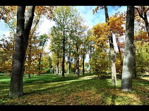 ПРОЩАНИЕ С ОСЕНЬЮ