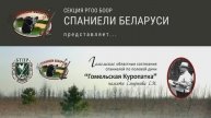 Чемпионат Беларуси Гомельская Куропатка памяти Смирнова