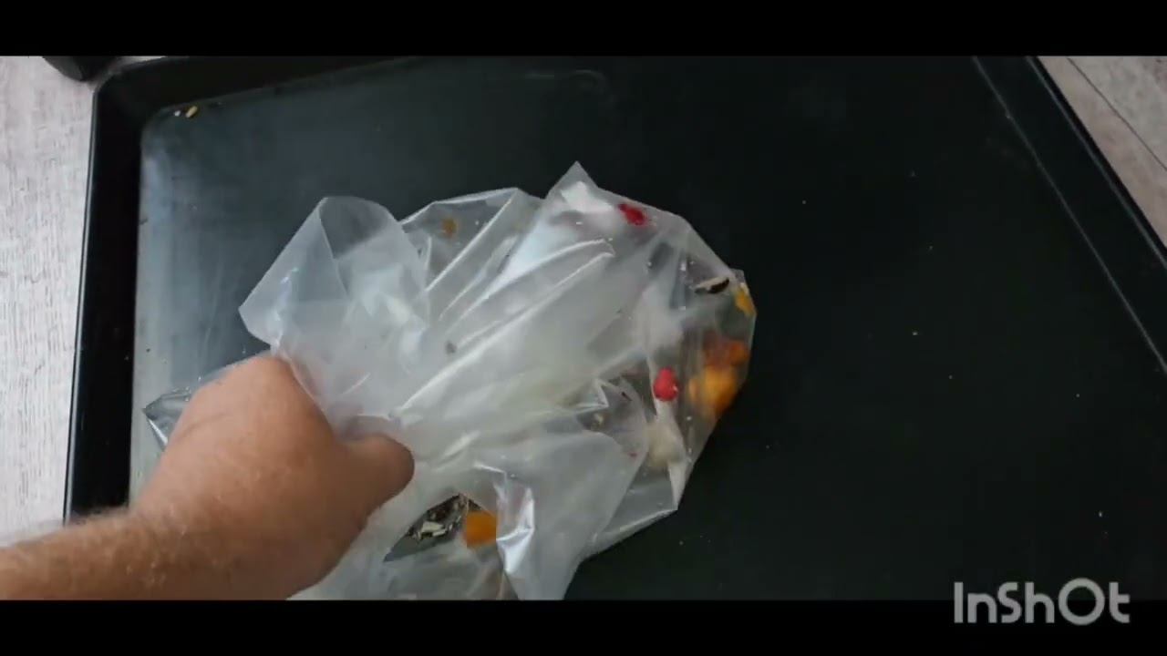 Серый Попугай. Маркиз. Уборка клетки. 25