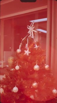 С Новым Годом! │Стоматологическая клиника "Ортодонт", г. Самара