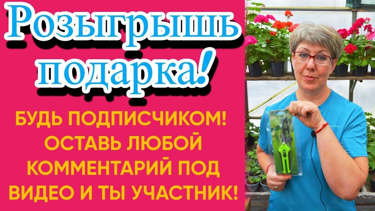 Розыгрыш подарка! Только для подписчиков!