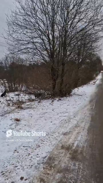 1000095556.mp4