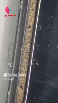 😱Смартфоны грязнее, чем сиденье унитаза... Следите за состоянием своих устройств!