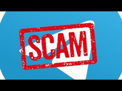 Скам в телеграме! Кликер Capybara и инвестиции Vaxee
