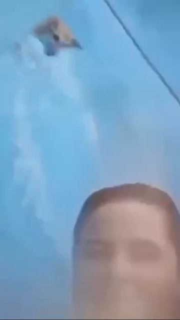Постой, а можно я с тобой???☝️😉✌️😂😂😂