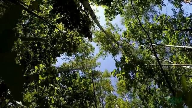 Реальность в незнакомом обличии часть 5.