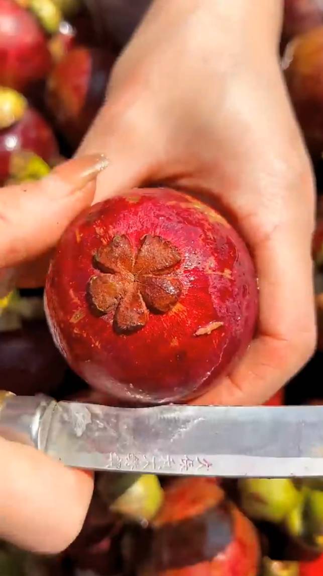 🍓🍍🍇МАНГУСТИН (экзотический фрукт)! #shorts #фрукты #советы