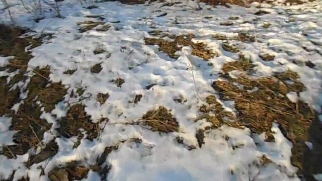 Ловушки. 2014 год. Ужасная ситуация!!!!