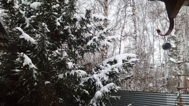 1000378203.mp4