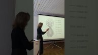 Органопрепараты – особенности приготовления