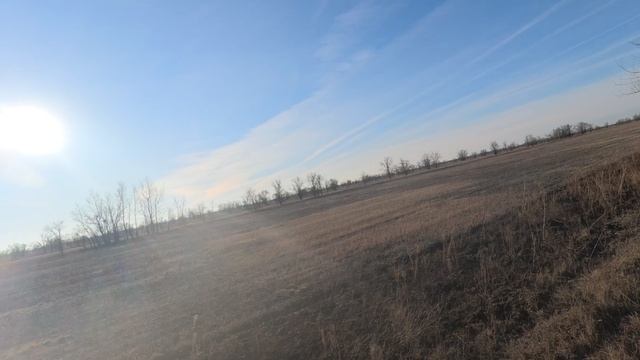 подранок