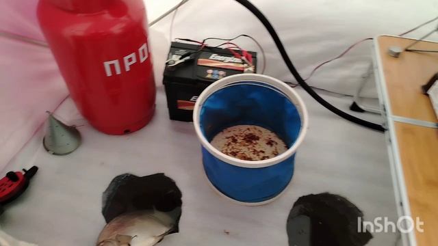 Рыбалка февраль 2025