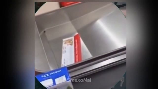 48. ЛУЧШИЕ ПРИКОЛЫ 2024 ПРИКОЛЫ ДЛЯ ВЗРОСЛЫХ ПРИКОЛЫ ЗА ОКТЯБРЬ ТИК ТОК #16