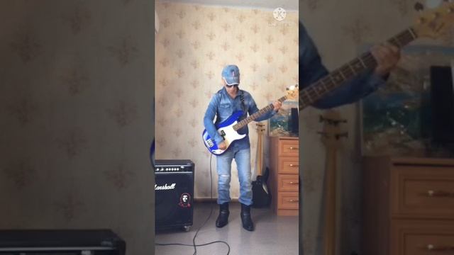 Robert Plant - Ship Of Fools (Bass cover)