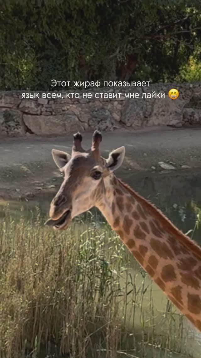 Понятно?) 😆
#travel #путешествия #юмор #развлечения