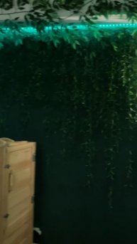 Свидание в Спа-Салоне Туласи