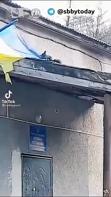 Белка опять срывает флаг Украины! Новое нападение диверсантки