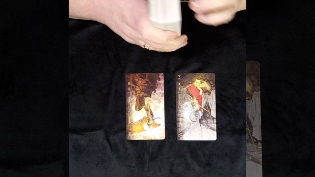 12весы