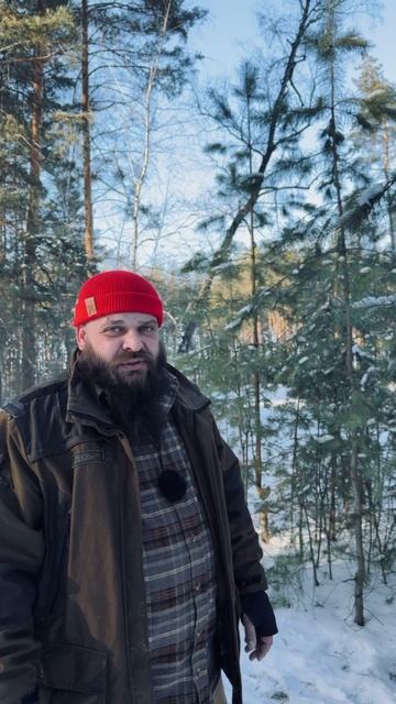 Новости из леса завалил косолапого