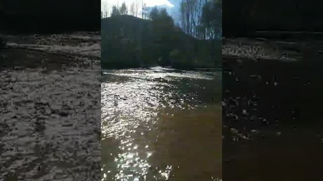 Вехикросс офф роад 2024