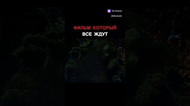 11-02-2025