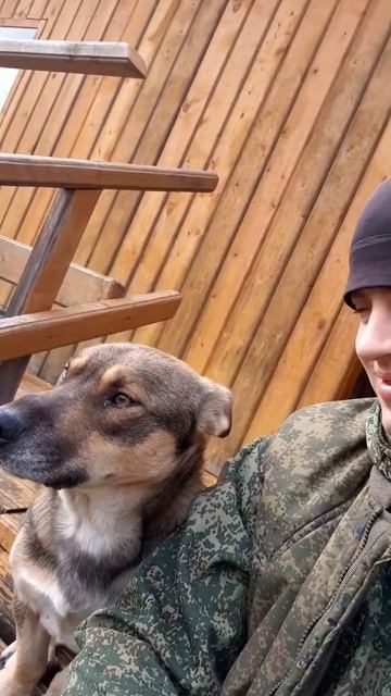 Босик скучает по пасеке в лесу.