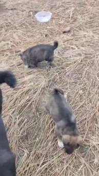 b2eef49e-7397-4dc4-b065-151df5c4f662