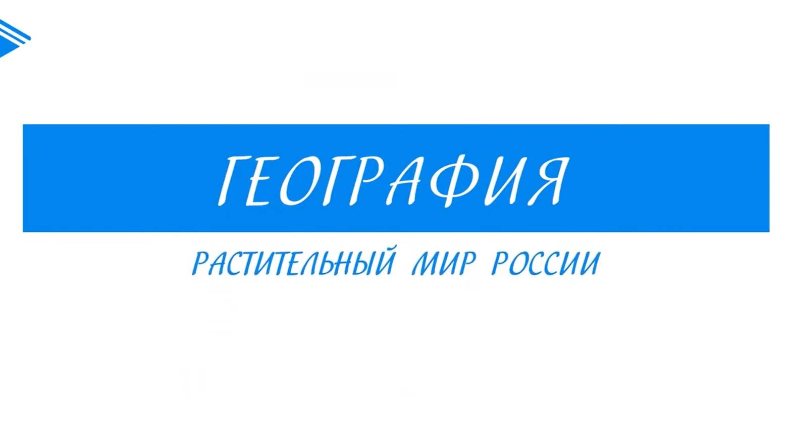 8 класс - География - Растительный мир России