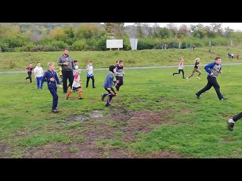 2019 регби игры