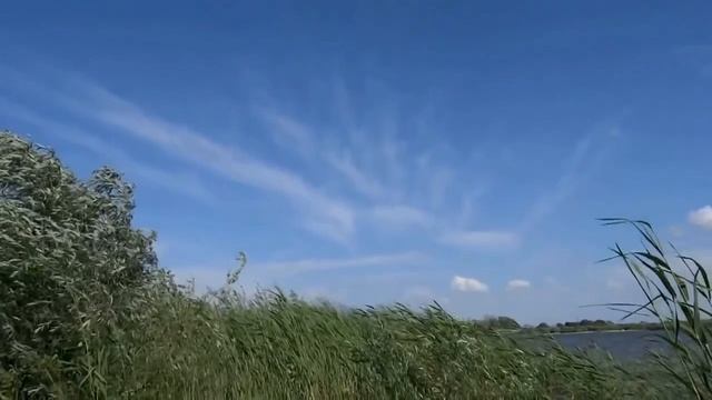 ЗДРАВСТВУЙ , МУЖЕНЕК авт. и исп. Ашихмина Ирина