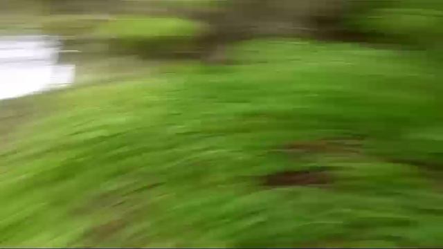 VID-20240518-WA0102