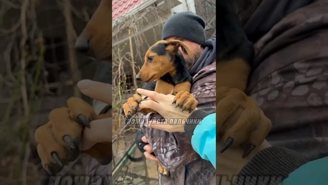 Какая она красивая... Лекса