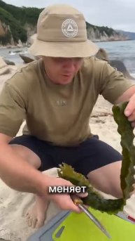 Еда с пляжа - это кааайф!