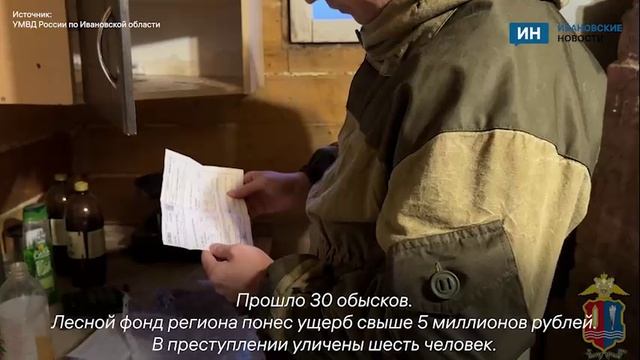 В Ивановской области прошли обыски по лесному делу