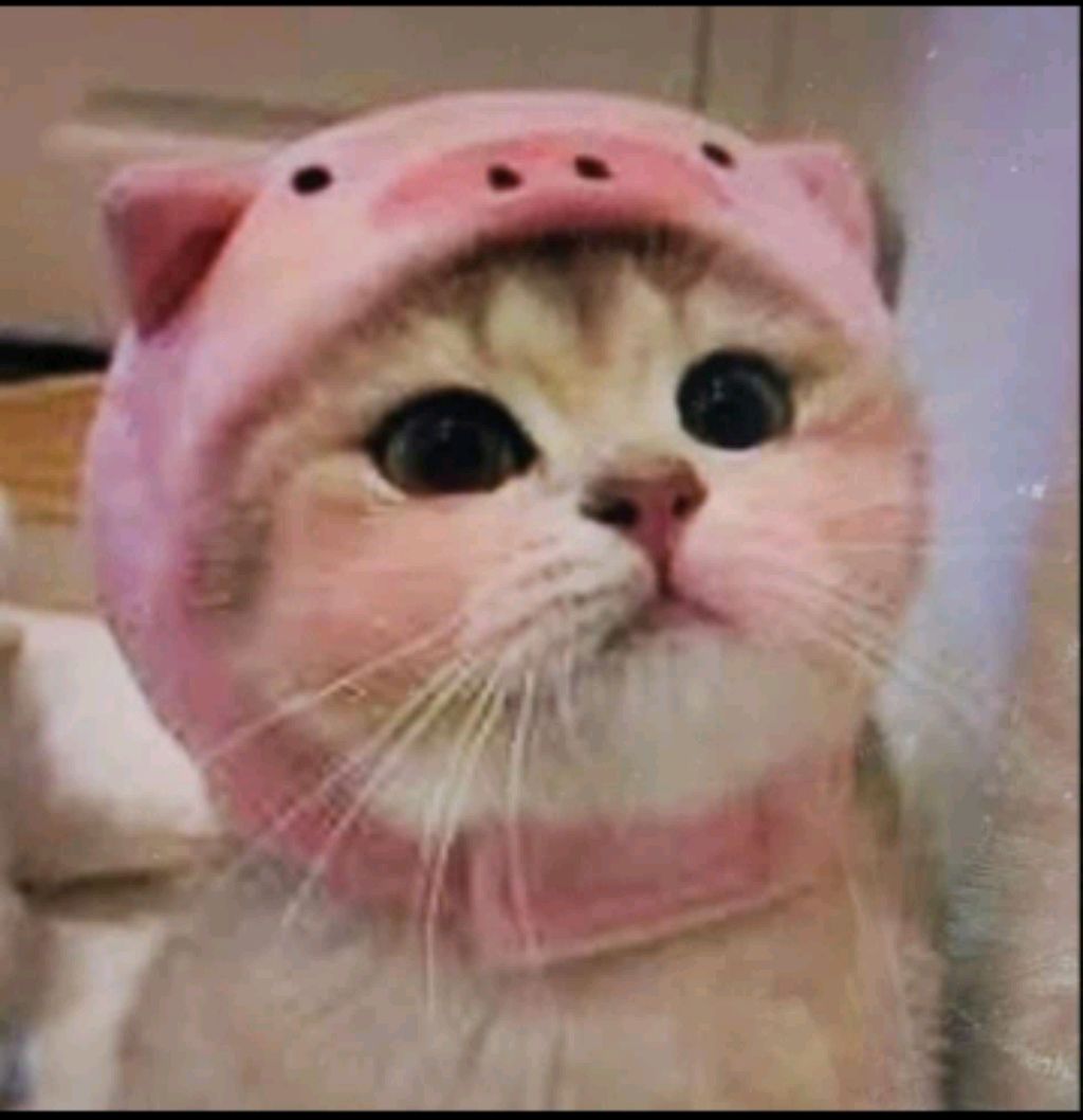 делаю уроки чек 🎀