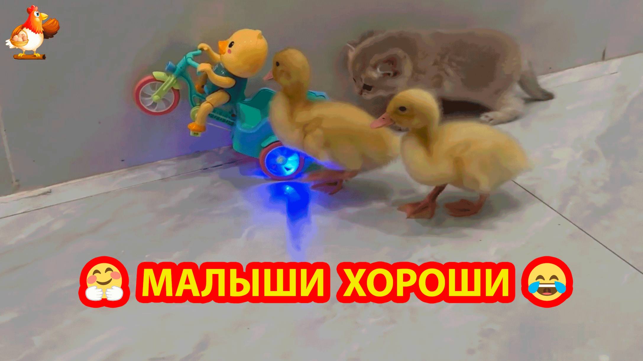 Котенок с Утятами поиграли и пошли к маме Кошке ❣️🥰😂