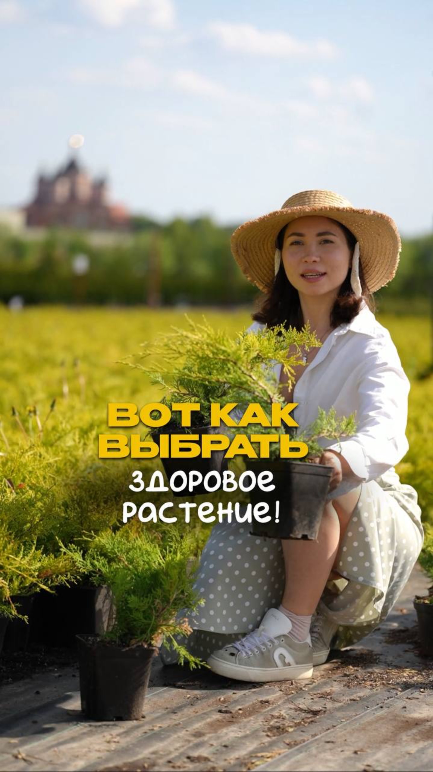 НИКОГДА НЕ выбирайте растения без этих советов