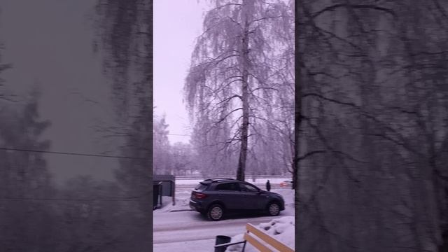 11-02-2025