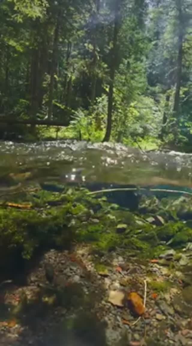 1000091232.mp4