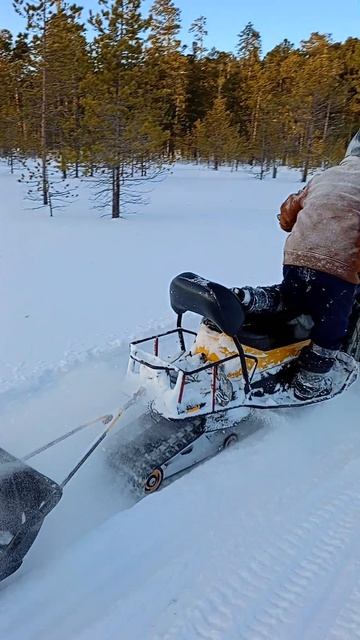 ТИКСИ В ПУХЛЯК С САНЯМИ!