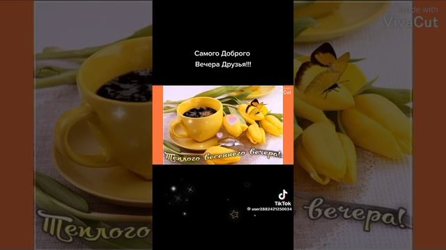 VID-20250211-WA0008