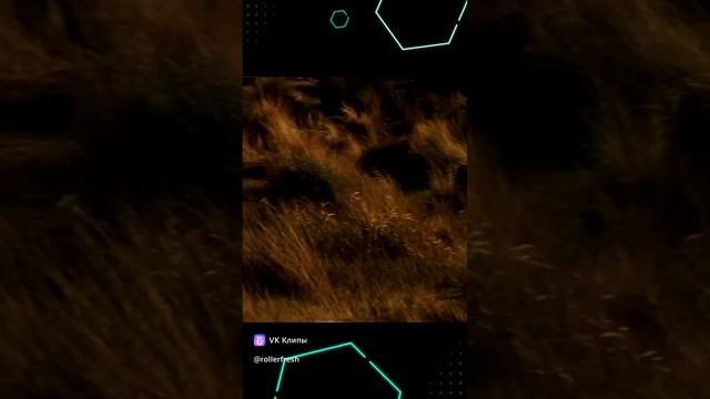 11-02-2025