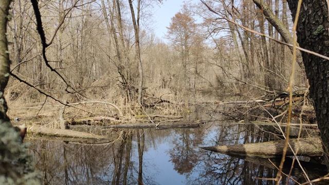 VID_20240402_123248
