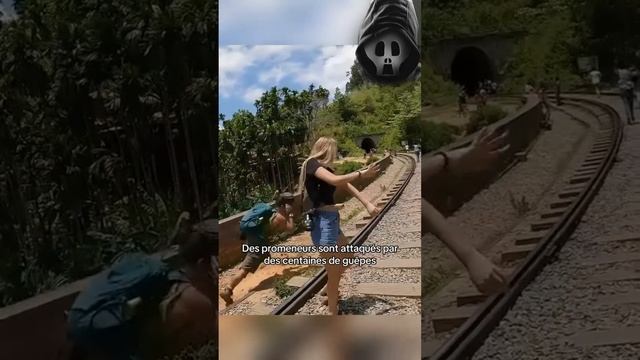 ЛЮДИ И ЖИВОТНЫЕ КОТОРЫЕ МОГУТ ПРИЧИНЬ ВРЕД