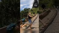 ЛЮДИ И ЖИВОТНЫЕ КОТОРЫЕ МОГУТ ПРИЧИНЬ ВРЕД